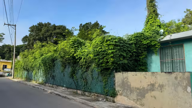 Desde el año 2023 han pedido su limpieza