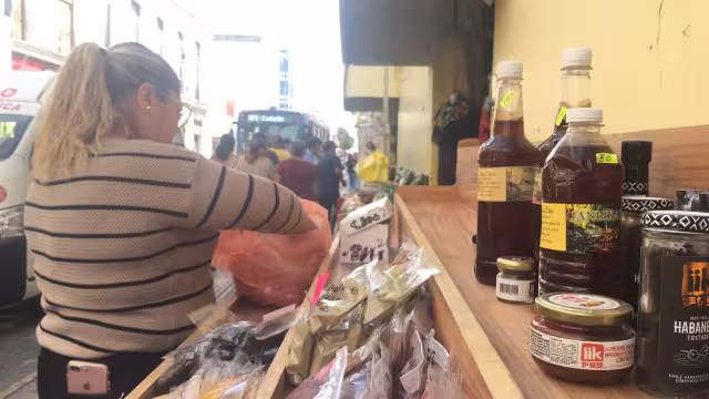 Con apoyo del Instituto Yucateco de Emprendedores se posicionan los productos Hecho en Yucatán