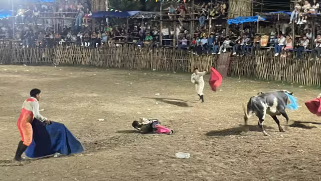 Dos astados hacen de las suyas durante la corrida que se realiza en honor a San Buenaventura