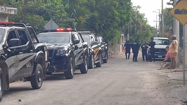 Vecinos de Baca se llevan una desagradable sorpresa al hallar a 2 perros sin vida