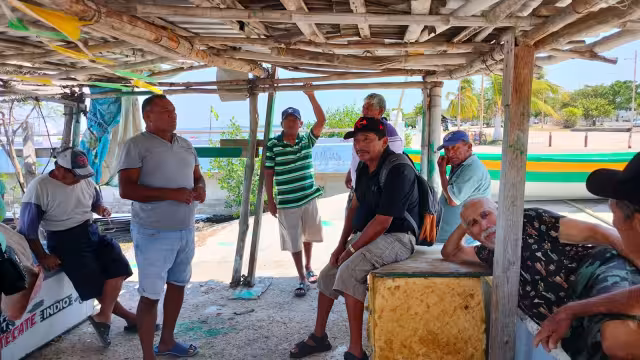 Campeche refuerza organización pesquera de cara a temporada de veda