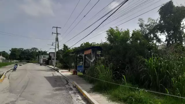 La colonia Fátima sufre apagones constantes por cables de mediana tensión dañados, agravados por la falta de separadores de cables.