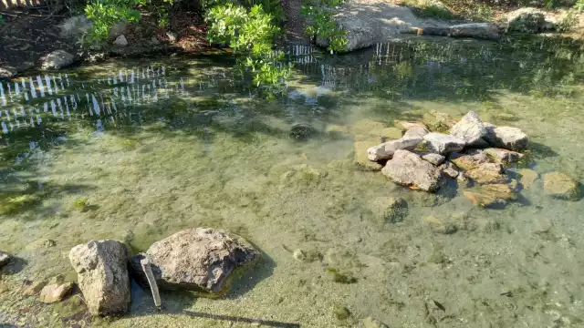 La intervención hizo más sustentable el lugar, convirtiéndose en la llamada Zona Cero donde liberan especies rescatadas