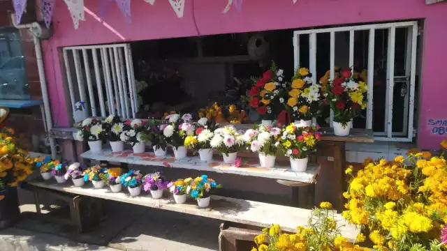 La gente aprovecha su aguinaldo para salir a pasear con la familia