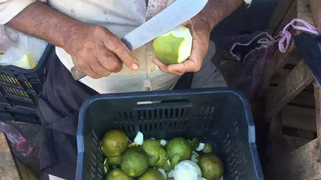 Naranja agria y naranja dulce, limón, papaya y toronja tienen vitamina C que ayuda contra la gripa