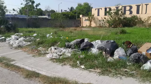 Colonos revelaron que el problema los afecta desde hace más de un año a pesar de sus quejas