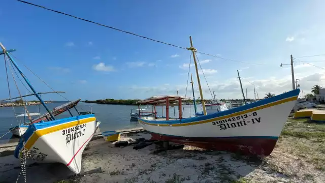 Los pescadores reportan sus salidas al mar en crisis