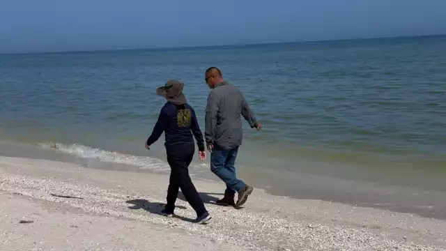 En Celestún y la franja Chelem-Dzilam de Bravo disminuye el peligro para actividades recreativas