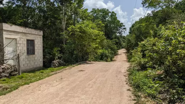 Policías atendieron el reporte al presuntamente existir más casos