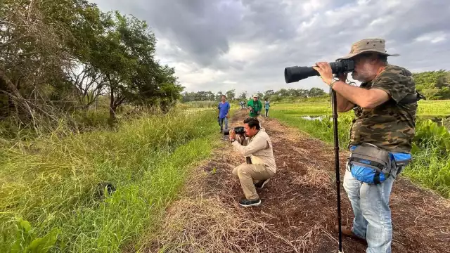 Campeche posee un hábital privilegiado al contar con 496 especies, 128 de ellas migratorias