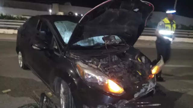 Los pasajeros del automóvil resultaron ilesos del accidente