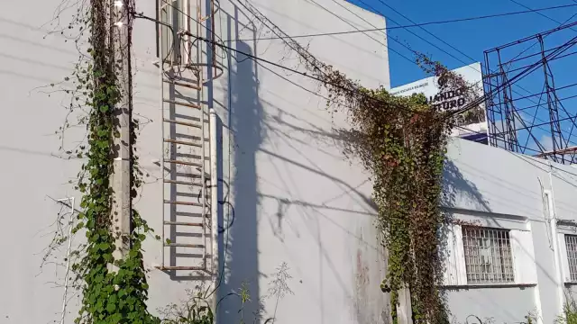 Cables colgantes preocupan a los ciudadanos de Chetumal.