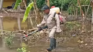 Han reforzado trabajos de prevención en escuelas