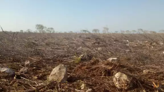 Ejidatarios sorprendieron a trabajadores que con maquinaria pesada devastaban varias hectáreas