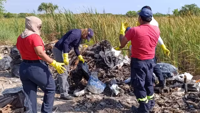 La basura obstruye el correcto funcionamiento de algunos de los sistemas
