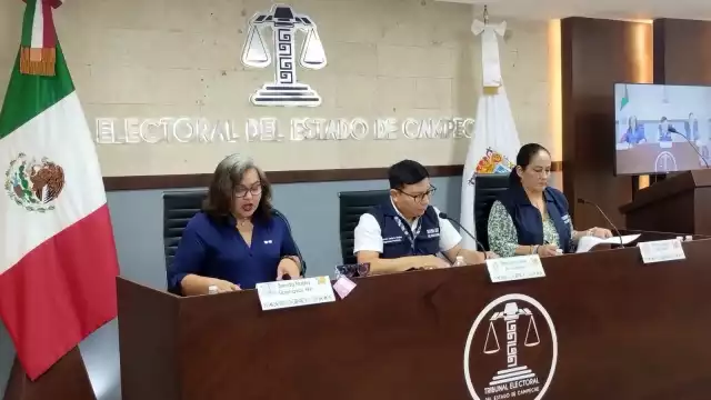 No se encontró la propaganda gubernamental, señaló.