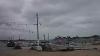 Frentes fríos paralizan la pesca ribereña y provocan recale de tortugas en la costa de Yucatán