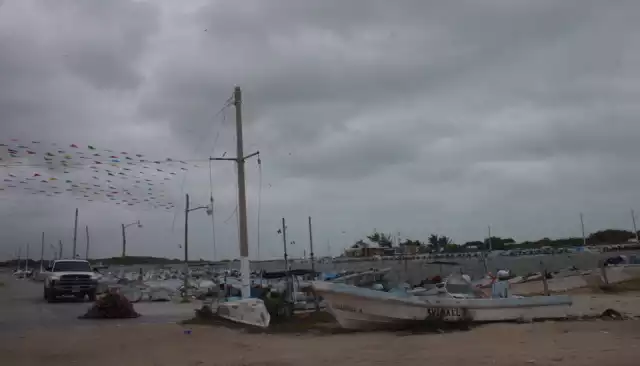 La llegada del Frente Frío No. 28 perjudica tanto la actividad pesquera como la fauna marina