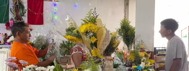 Comerciantes del Centro Histórico de Motul cuentan con una gran variedad de flores amarillas