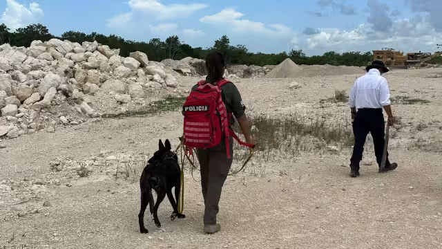 La FGE confirmó el extravío de siete personas, cuatro en  Puerto Morelos y tres más en la Zona Sur de Quintana Roo