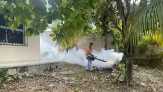 Campeche,  octavo lugar con más  casos confirmados de dengue a nivel nacional    