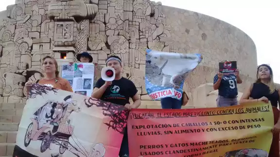 Rescatistas se manifiestan en contra del maltrato a un caballo en Mérida