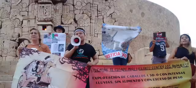 Rescatistas se manifiestan en contra del maltrato a un caballo en Mérida