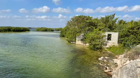 La reserva natural de Chabihau se caracteriza por ser el sitio ideal para el arribo de aves playeras