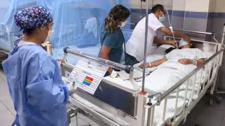 Dengue tendrá más picos de contagio en Campeche