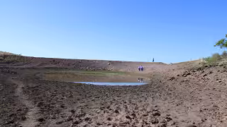 Maíz y ganadería, los sectores más vulnerables al estiaje en Campeche