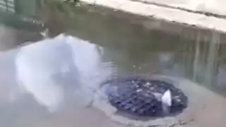 Los afectados han hecho un llamado a CAPA para que lidie con la situación