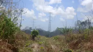 El incendio registrado el lunes en la zona de captación uno afectó 84 zonas de Cancún, Punta Sam e IM