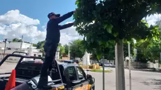 SSP Yucatán realiza limpieza y liberación de las señaléticas de tránsito en las calles