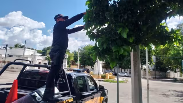 SSP refuerza seguridad vial con limpieza y liberación de señalética