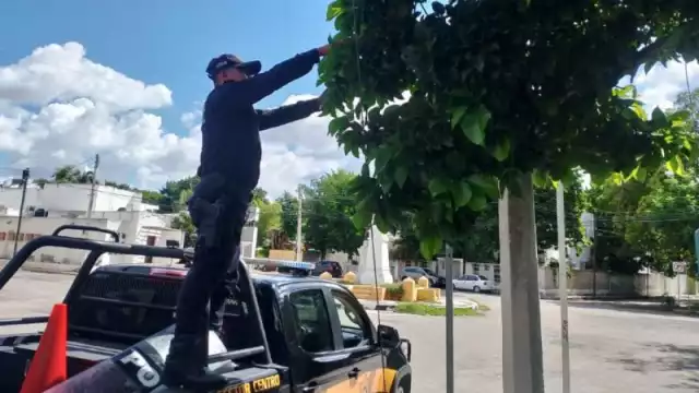 SSP refuerza seguridad vial con limpieza y liberación de señalética