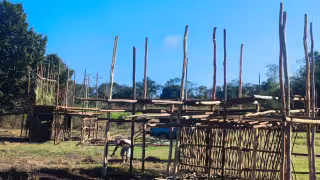 Adiós al parque central: eventos de la feria se trasladan al nuevo recinto