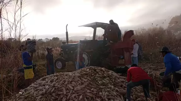 Los afectados aseguran que personas del Gobierno están lucrando con el recurso federal. (