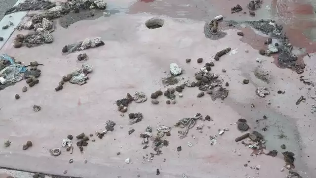 Esta clase de sucesos ponen en riesgo la salud de las personas.