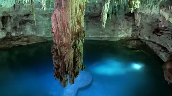 Los cenotes pueden albergar un hongo conocido como Histoplasma capsulatum Los cenotes pueden albergar un hongo conocido como Histoplasma capsulatum