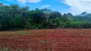 El suelo fue nivelado y removido, y se observaron restos carbonizados de material vegetal