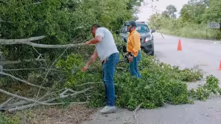 Lluvia provoca apagones, inundaciones y caída de árboles en tres municipios de Yucatán -