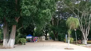 Visitantes mostraron sorpresa al encontrar el espacio cerrado.