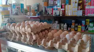 Familias de Sabancuy celebran baja de 15 pesos en la reja de huevo