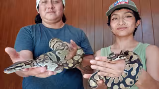 El zoológico La Reina difunde la importancia de los ofidios en el equilibrio medioambiental