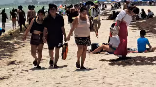 ¿Vas a la playa en Progreso? Estas son las cosas que no puedes hacer