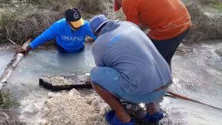 Más de 40 colonias de Campeche mañana 11 de febrero; esta es la lista