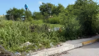 Terreno en Champotón lleva más de una década en abandono: proliferación de mosquitos y riesgo de incendio
