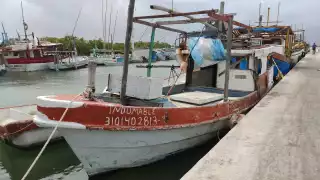 El precio del mero no ha bajado drásticamente, el producto está disponible: informa Canainpesca