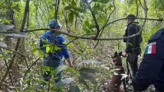 De enero a lo que va de mayo, han desaparecido 402 personas, de acuerdo con la Comisión Nacional de Búsqueda; la mayoría de los reportes son de Cancún