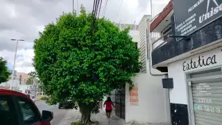 Negligencia del Ayuntamiento de Campeche provoca apagón; CFE no atiende reportes